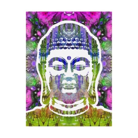 Dean Russo 'Buddha Abstract Color' Canvas Art,35x47